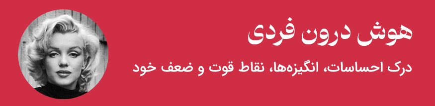 هوش درون فردی - مثال فرد مشهور مرلین مونرو