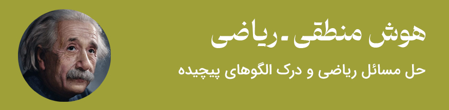 هوش منطقی ریاضی - مثال فرد مشهور آلبرت انیشتین