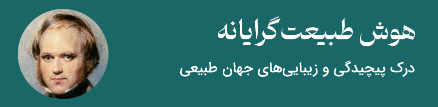 هوش طبیعت گرا - مثال فرد مشهور چارلز داروین