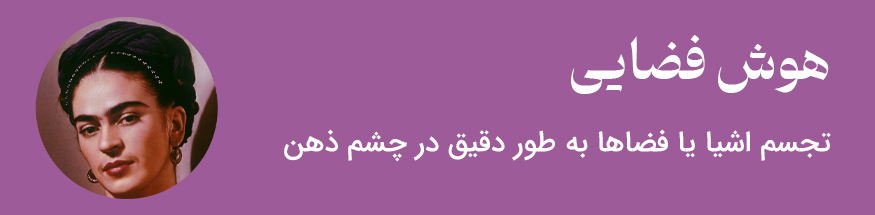 هوش فضایی - مثال فرد مشهور فریدا نقاش